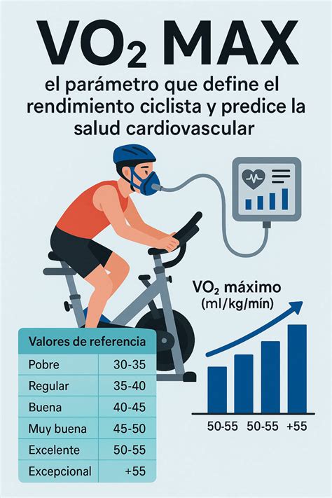 Infografía o esquema sobre el VO2 máximo y la eficiencia muscular
