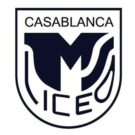 Infografía detallando las principales instalaciones y áreas del Liceo Manuel de Salas