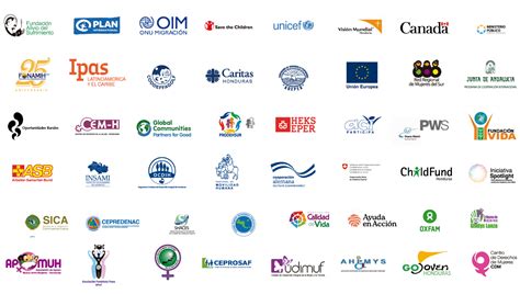 Logos de las organizaciones mencionadas (NPH, CONIN, Plan International, UNESCO) como símbolo de colaboración