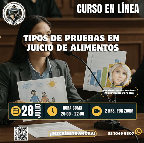 Infografía: Tipos de pruebas aceptadas en juicios de alimentos
