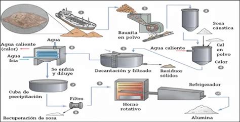 Esquema de las etapas del proceso de obtención de la credencial de discapacidad