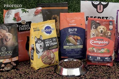 primer plano de diferentes tipos de croquetas de pienso para perros senior