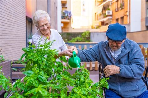 Persona mayor regando plantas en un jardín