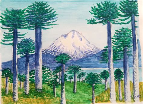 Ilustración de araucarias y hued-hued en su hábitat natural