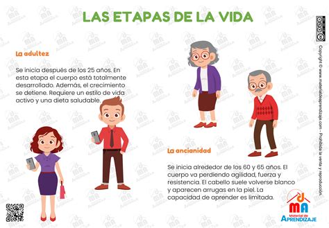 infografía con las diferentes etapas de la vida, destacando la tercera edad