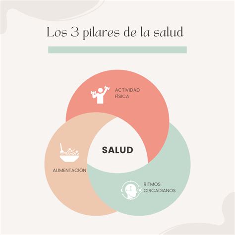 Esquema gráfico sobre los pilares de acción de Manos Unidas: educación, salud, alimentación, agua y medio ambiente.