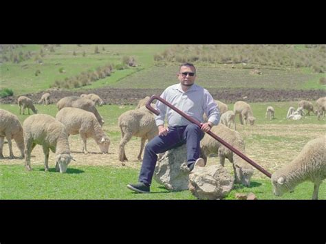 Pastor con ovejas, vara y cayado en un paisaje rural