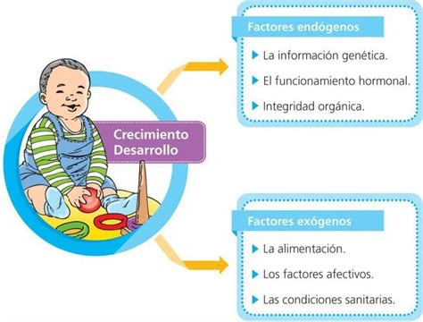 Esquema de factores que influyen en el desarrollo infantil