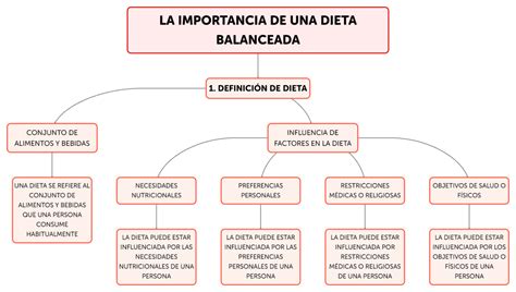 Esquema o infografía sobre la importancia de proteínas y una dieta balanceada para adultos mayores