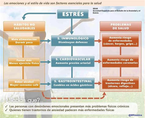 Esquema sobre el impacto del estrés tóxico en el desarrollo cerebral infantil
