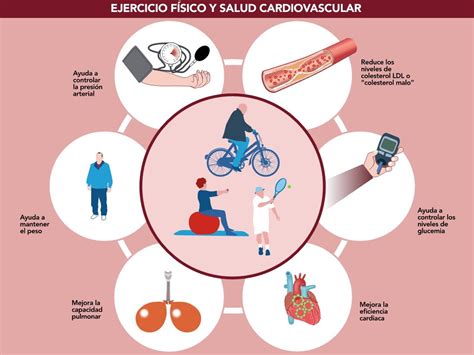 Infografía mostrando el círculo vicioso entre sedentarismo, obesidad y enfermedades crónicas