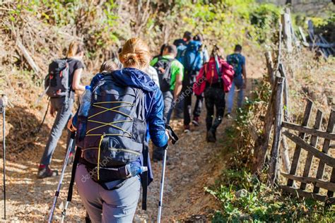 Grupo de adultos mayores sonrientes en una caminata guiada por un sendero natural en Brasil.