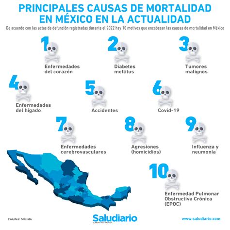 Infografía mostrando las principales causas de mortalidad en adultos mayores por sexo