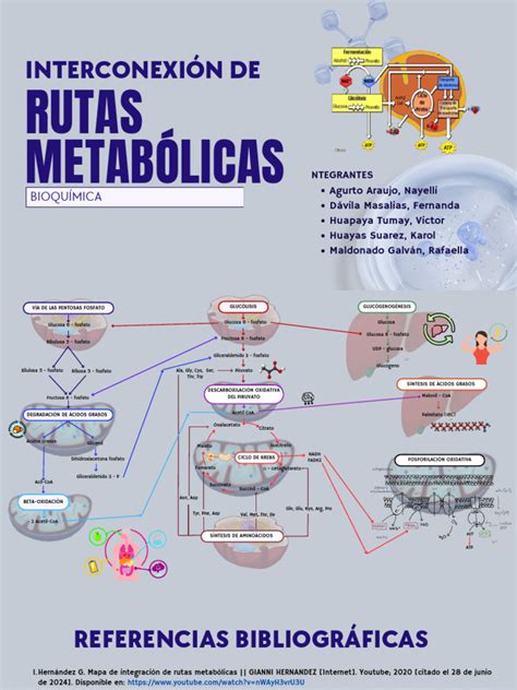Esquema de las interconexiones de la psicogerontología