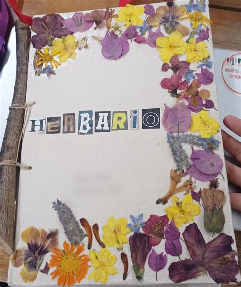 Libro artesanal hecho con hojas engrapadas y dibujos de niños mostrando logros como atarse los zapatos o andar en bicicleta.