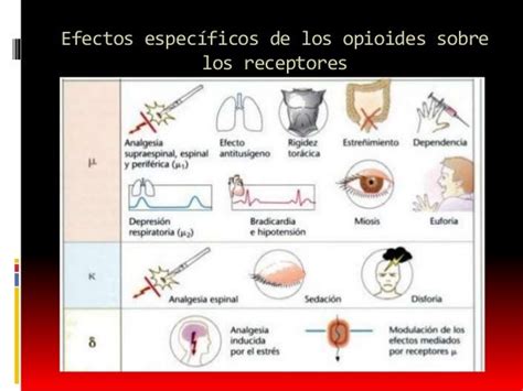 Esquema de los principales efectos secundarios de los opioides y su manejo