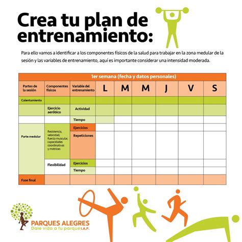 Esquema de un plan de entrenamiento con diferentes tipos de ejercicios