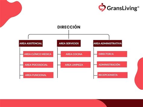 Diagrama de organigrama de una residencia de mayores