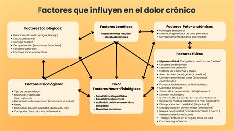 Esquema de las principales causas y tipos de dolor crónico en el anciano (nociceptivo, neuropático, postquirúrgico, oncológico)
