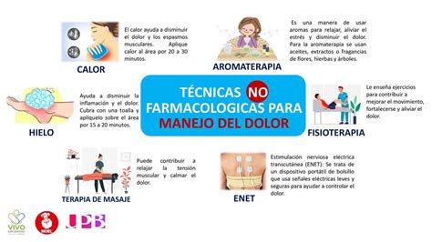 Infografía sobre las diversas terapias no farmacológicas para el manejo del dolor en el adulto mayor