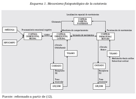 Esquema con la definición y los principales síntomas de la catatonía