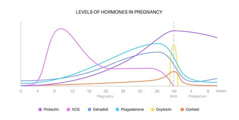 Gráfico o tabla comparando los niveles hormonales en jóvenes y adultos mayores