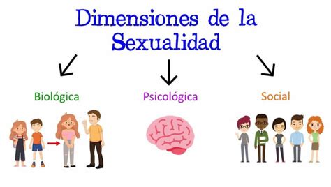 Esquema de los componentes biológicos, psicológicos y sociales de la sexualidad humana