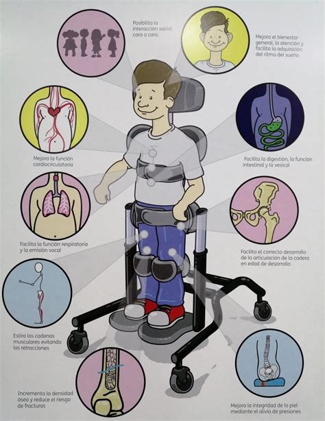 Ilustración de un adulto supervisando a un niño en un bipedestador
