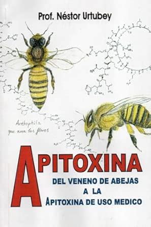 Esquema molecular de la apitoxina o foto de una abeja Apis mellifera