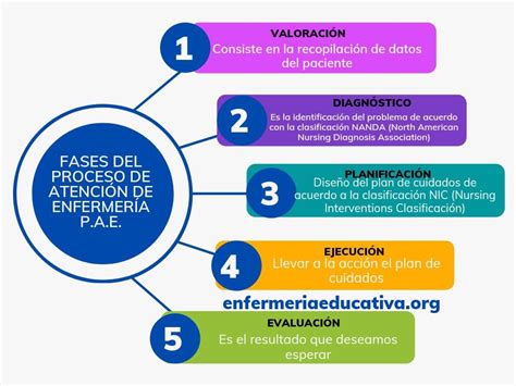 Esquema de la red de atención de cuidados paliativos