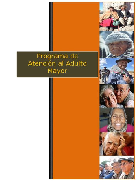 Infografía explicativa del Programa de Atención Domiciliaria al Adulto Mayor (PADAM)