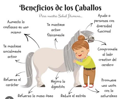 Esquema de los beneficios de la equinoterapia
