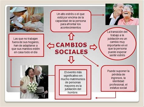 Diagrama de los roles sociales del adulto mayor.