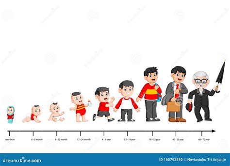 Tabla comparativa de proporciones de personajes desde la infancia hasta la vejez