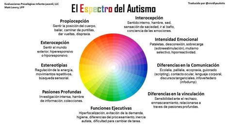 Espectro del autismo, mostrando la diversidad de manifestaciones