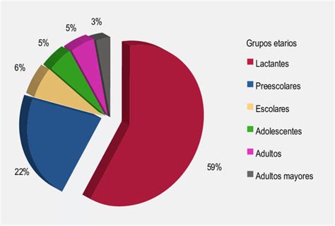 Gráfico de pastel: distribución de tipo de empleo en adultos mayores
