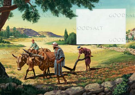 Ilustración de Eliseo arando con bueyes