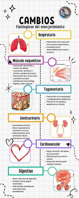 Infografía: Cambios fisiológicos en adultos mayores (sarcopenia, osteoporosis, artritis)