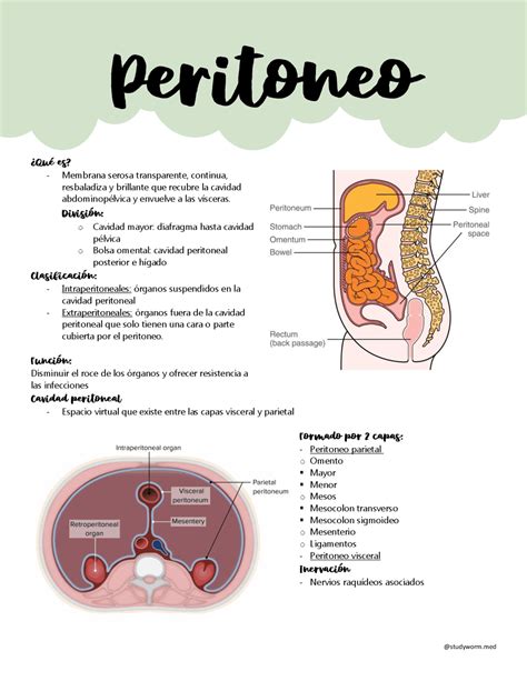 Esquema de la anatomía del peritoneo y zonas afectadas por carcinomatosis