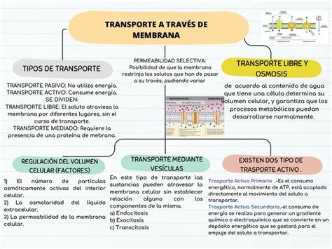 Esquema comparativo de los diferentes tipos de infraestructuras para la primera infancia