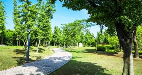 Fachada principal de una residencia con áreas verdes y residentes interactuando en el exterior