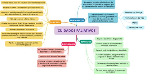 Mapa mundial mostrando la disponibilidad de cuidados paliativos por región.
