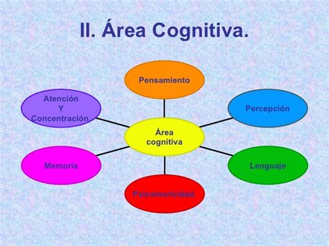 Esquema de las áreas cognitivas afectadas por la demencia
