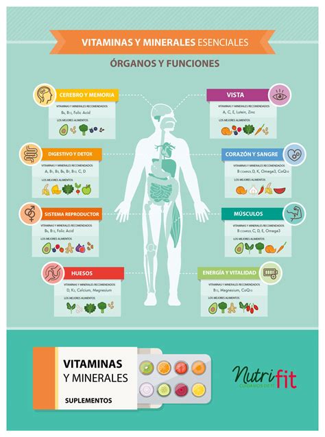 Gráfico: Requerimientos diarios de vitaminas y minerales esenciales para adultos mayores