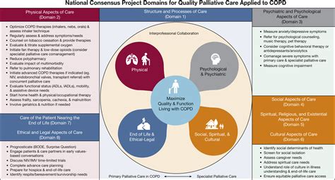 Infografía detallando los 8 dominios del National Consensus Project for Quality Palliative Care