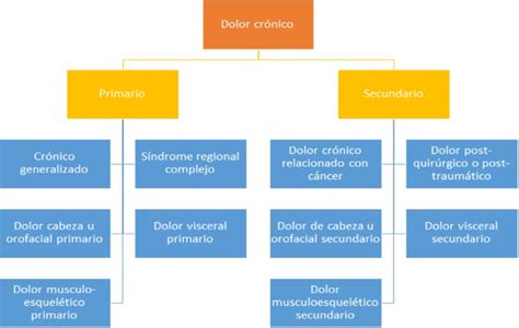 Esquema de la clasificación del dolor crónico según la IASP, mostrando la división entre dolor primario y los diferentes tipos de dolor secundario