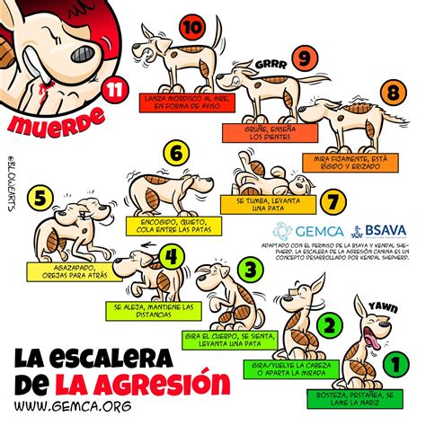 Diagrama de la Escalera de la Agresión (LOA) mostrando las señales de advertencia de un perro antes de morder.