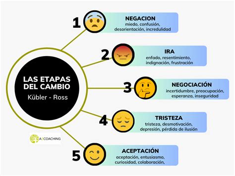 Gráfico que ilustra las fases emocionales que atraviesa una familia al recibir un diagnóstico de discapacidad.