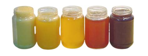Variedad de mieles con diferentes colores y texturas.