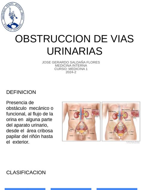 Esquema de las vías urinarias en hombres y mujeres con sus relaciones anatómicas